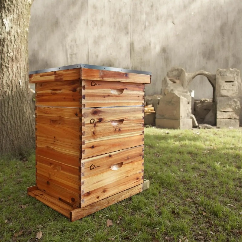 10-Frame Complete Beehive Kit, - огляд і ціна Beehive Frame Wax