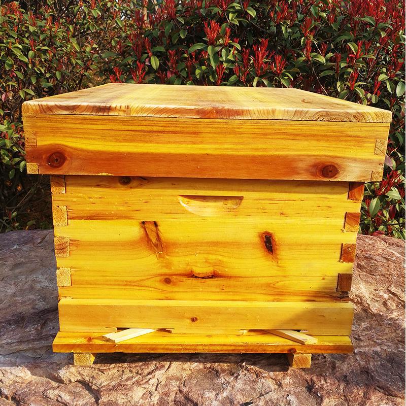 Bee beehive Full set of beekee - огляд і ціна Beehive Frame Wax