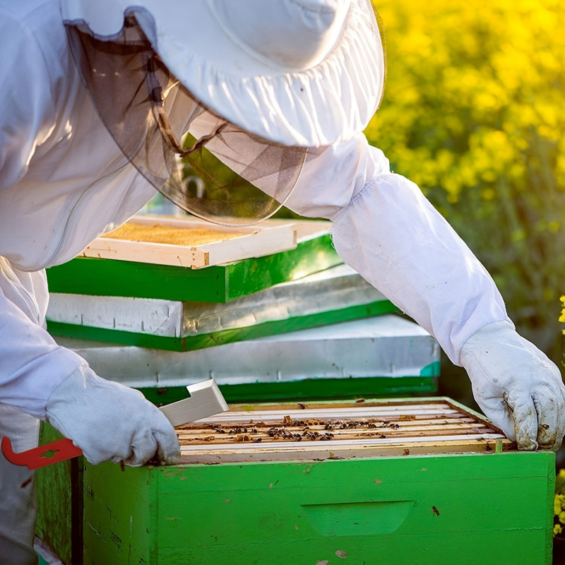 Bee Frame Scraper Multifunctio - огляд і ціна Beehive Frame Wax
