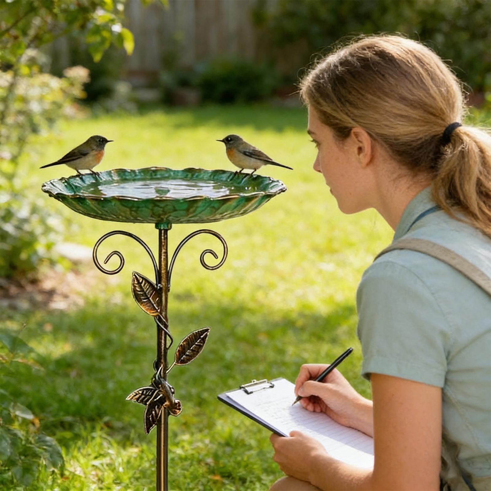 Bird Baths for Outdoors 30 inc - огляд і ціна Farming And Agriculture